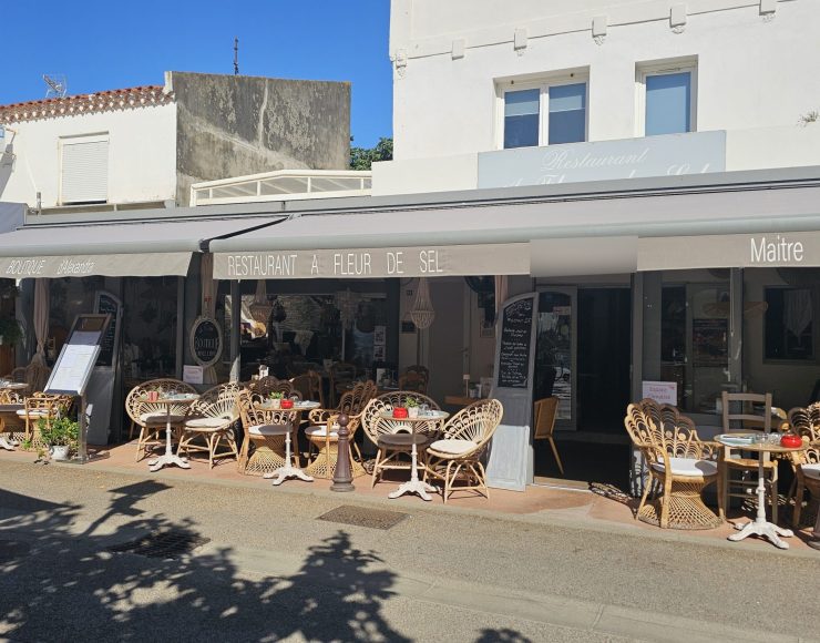 1000076742 - terrasse extérieure (1) flou