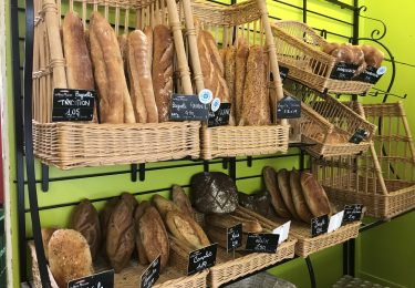 64568819701__8B4DC12A-2567-404A-ACF7-B89F53826DCB