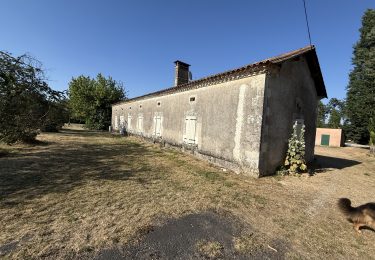 IMG_1739