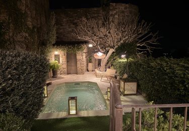 IMG_3630