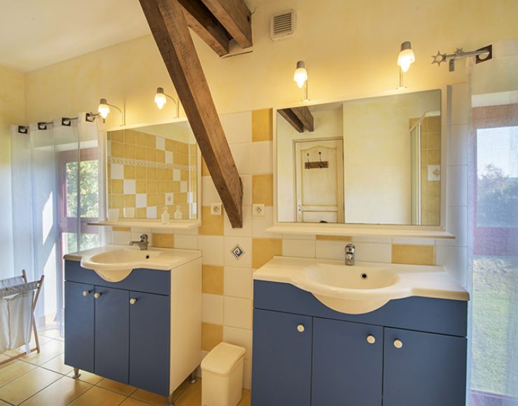 Spectacle Desperate Houseman,elu Eri