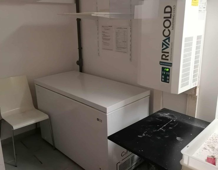 SOUS SOL CONGELO ET MOTEUR LABO