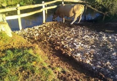 entreprise BTP Aveyron