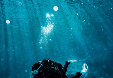 pexels-pspov-3046582