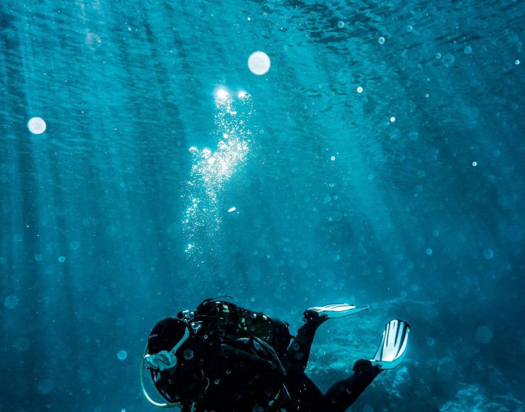 pexels-pspov-3046582